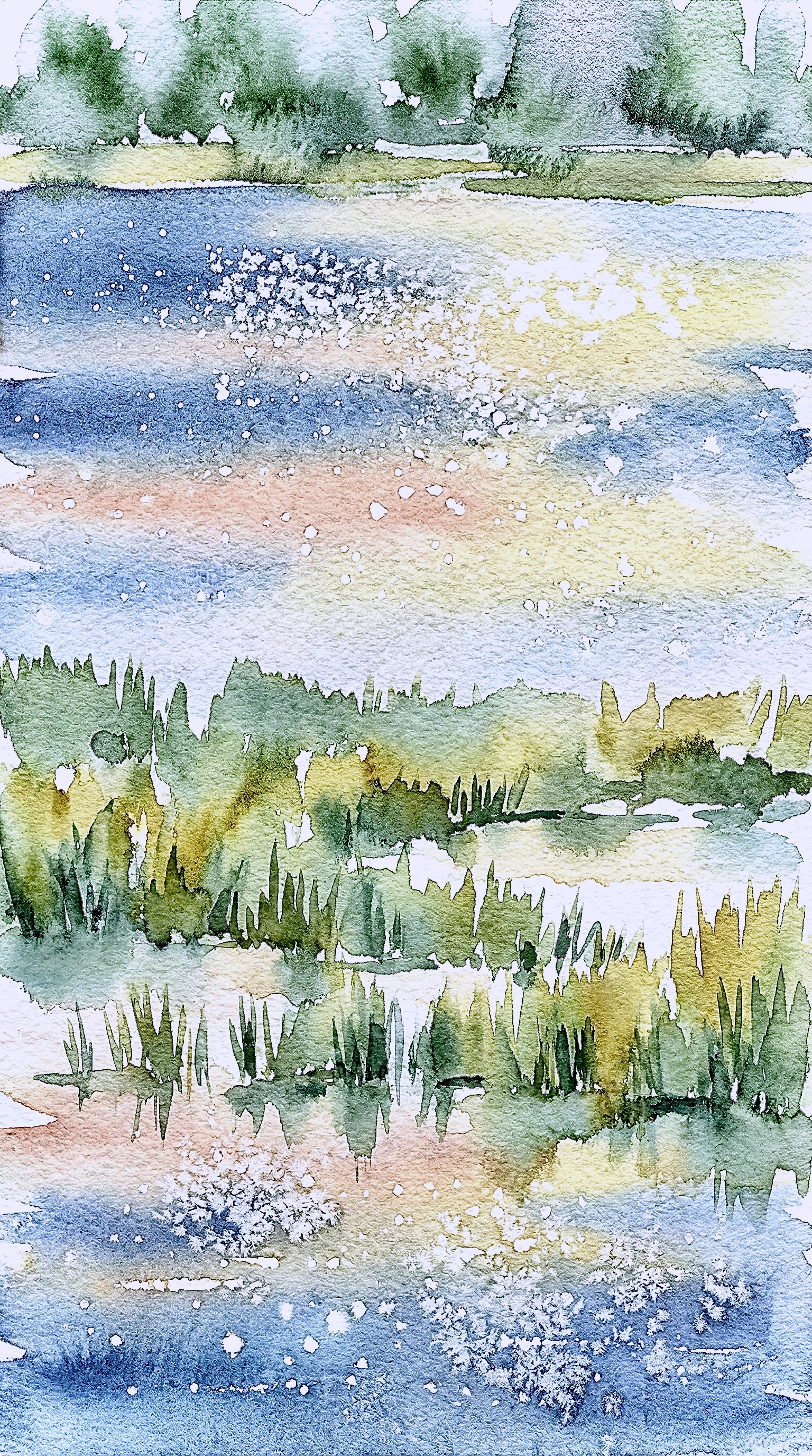 Reeds and Reflections